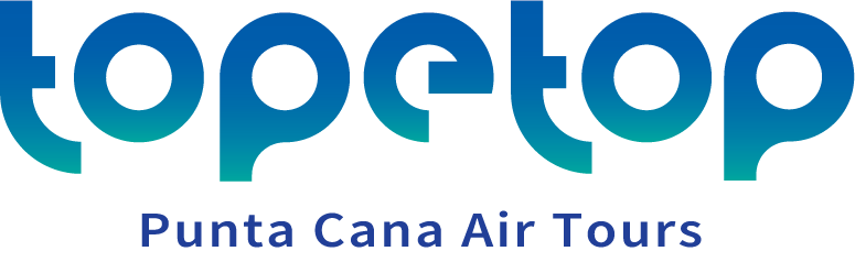 Logo Topetop